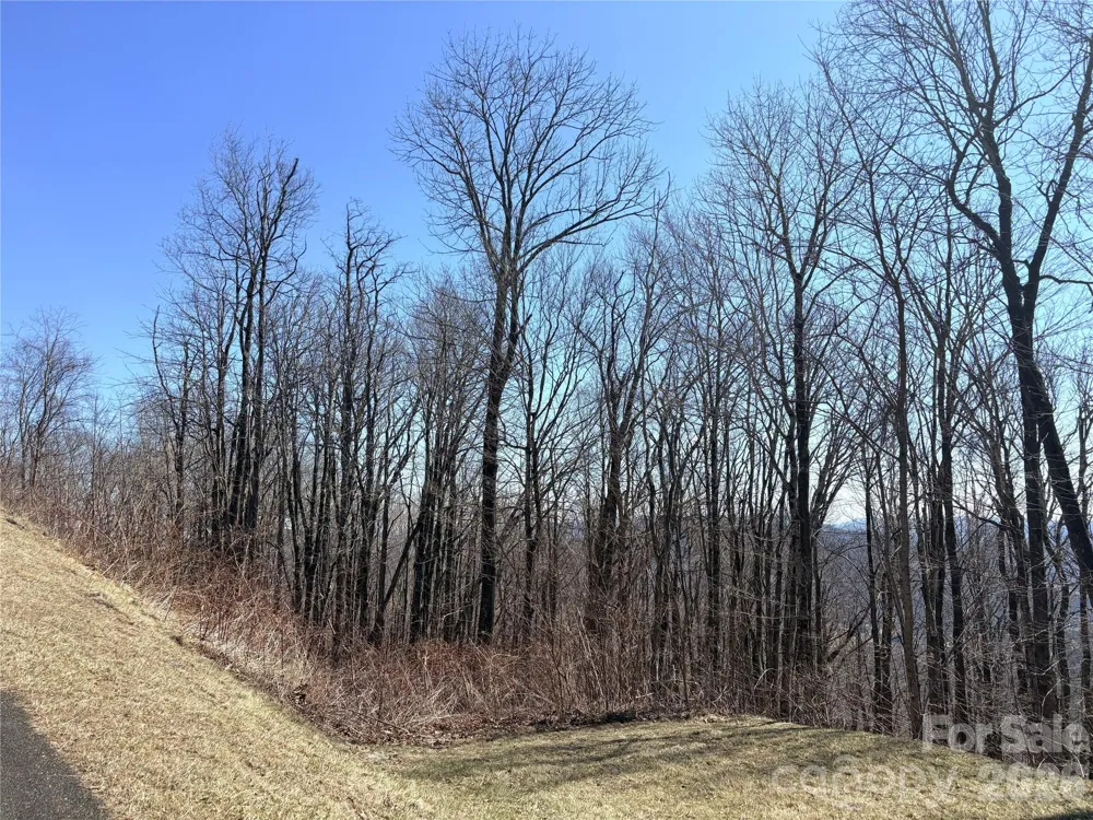 Lot 68 Elk Creek Mountain Parkway Todd, NC 28684