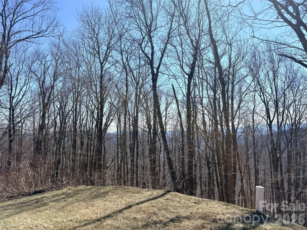 Lot 68 Elk Creek Mountain Parkway Todd, NC 28684