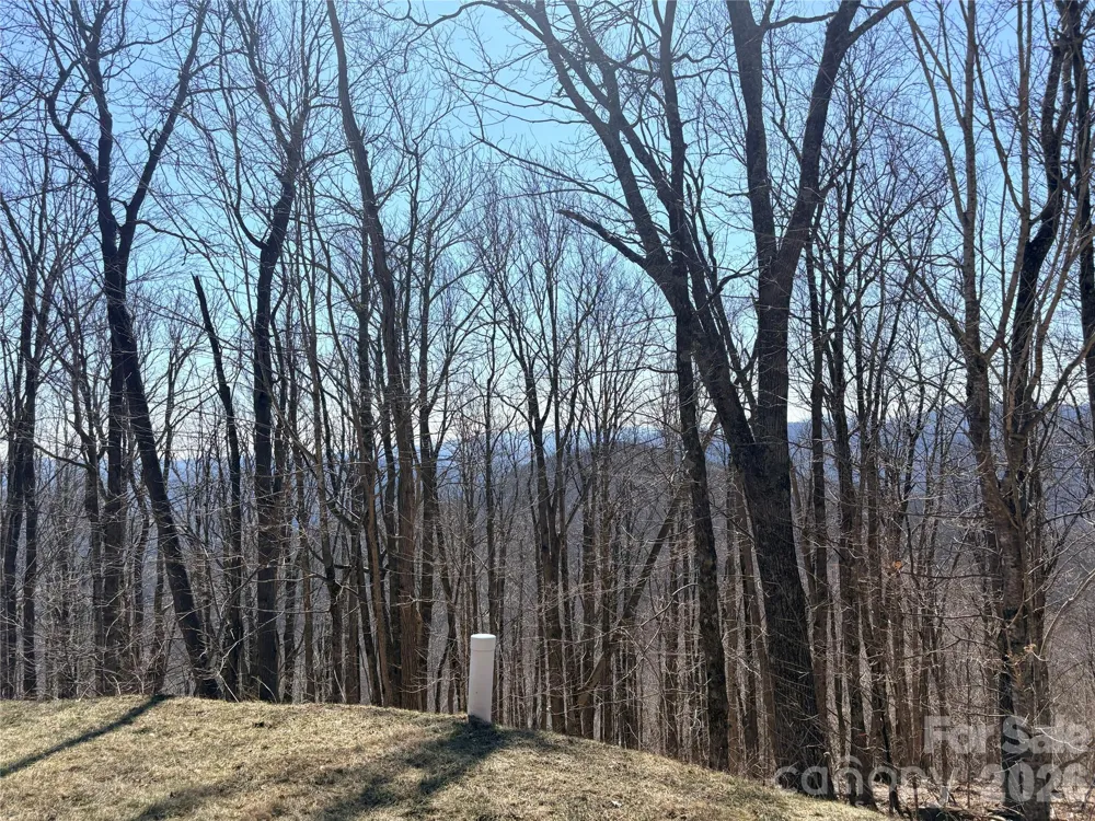 Lot 68 Elk Creek Mountain Parkway Todd, NC 28684