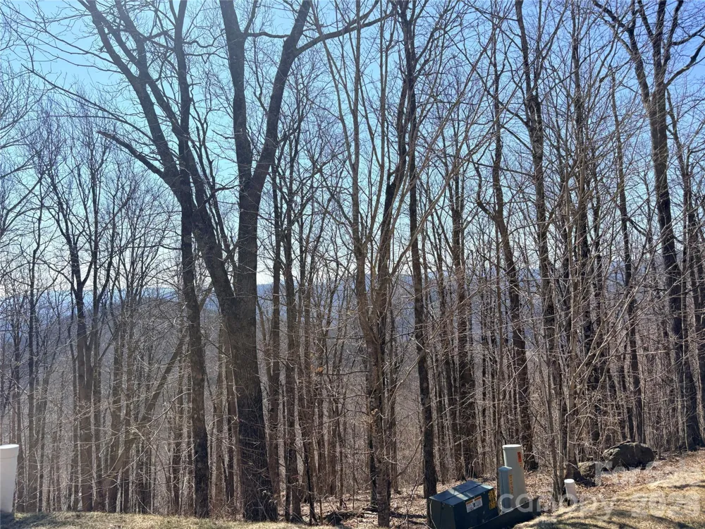 Lot 68 Elk Creek Mountain Parkway Todd, NC 28684