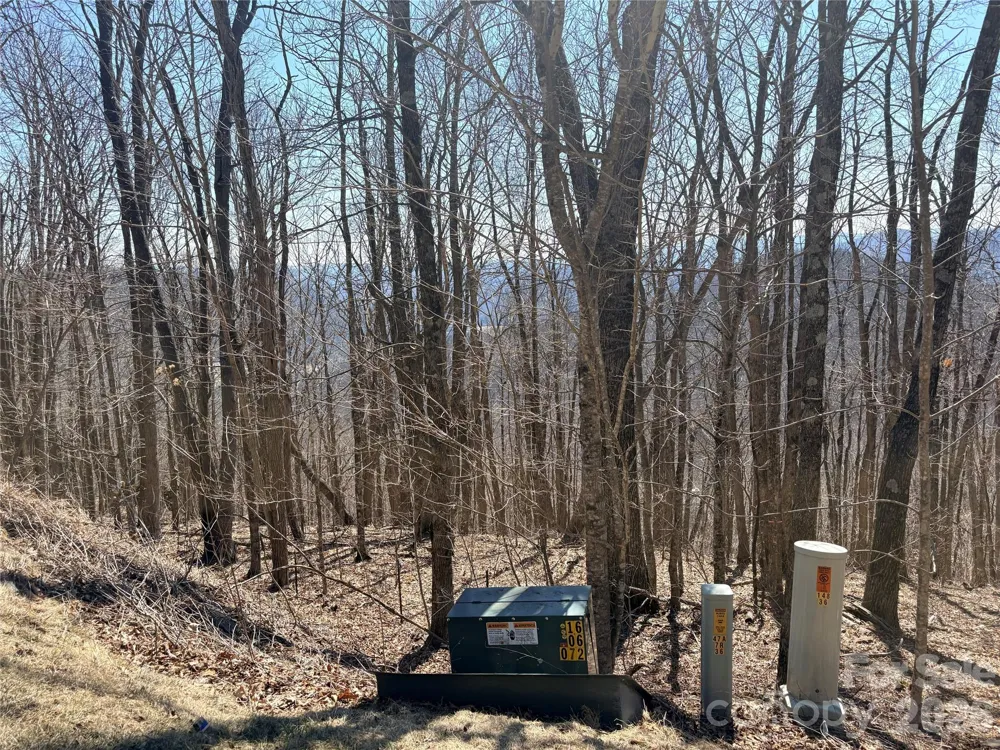 Lot 68 Elk Creek Mountain Parkway Todd, NC 28684
