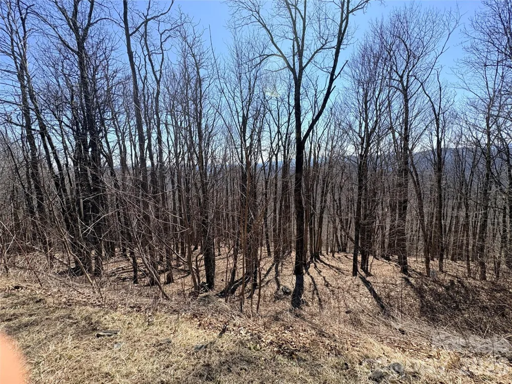 Lot 68 Elk Creek Mountain Parkway Todd, NC 28684