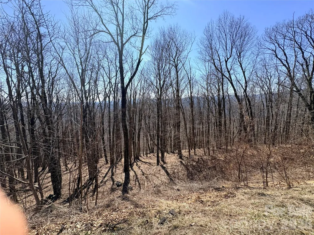 Lot 68 Elk Creek Mountain Parkway Todd, NC 28684