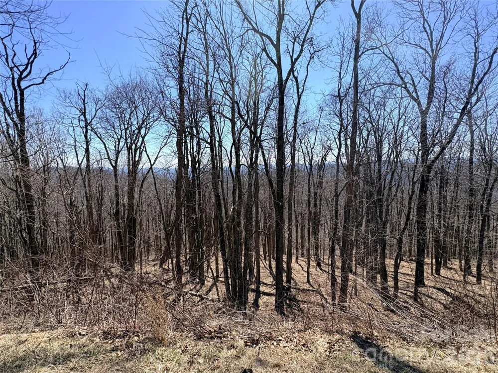 Lot 68 Elk Creek Mountain Parkway Todd, NC 28684