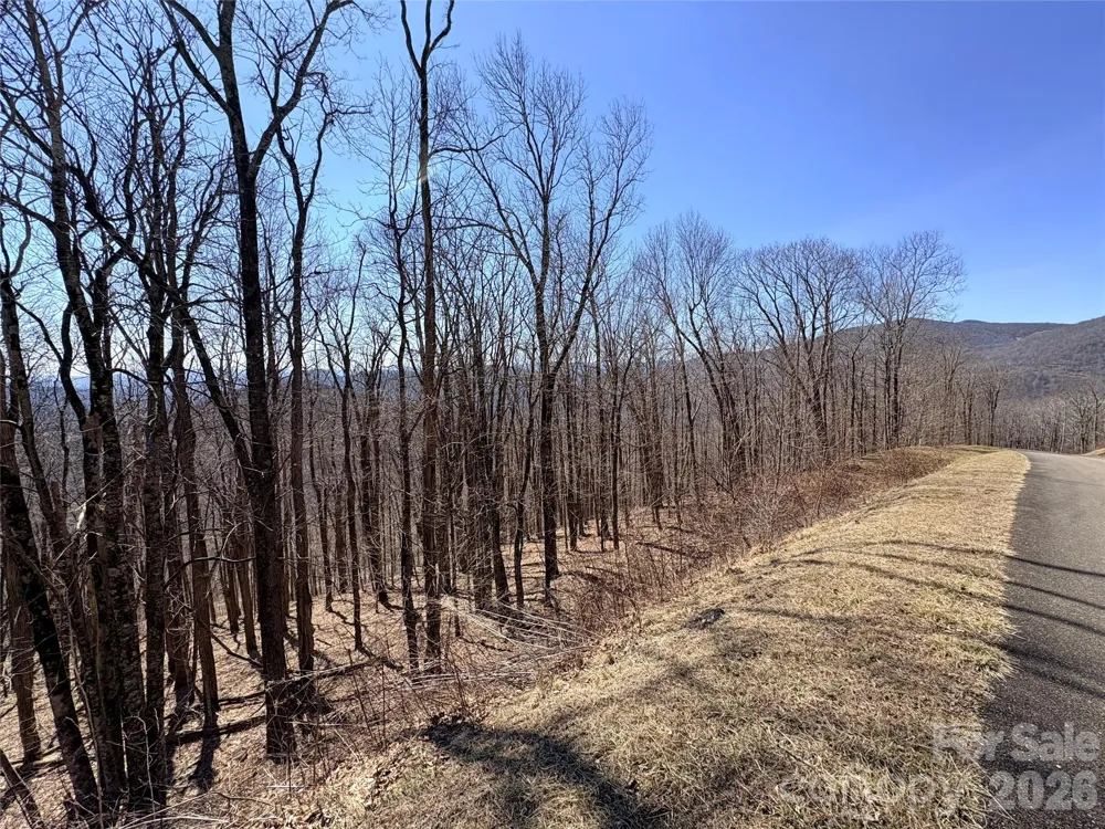 Lot 68 Elk Creek Mountain Parkway Todd, NC 28684