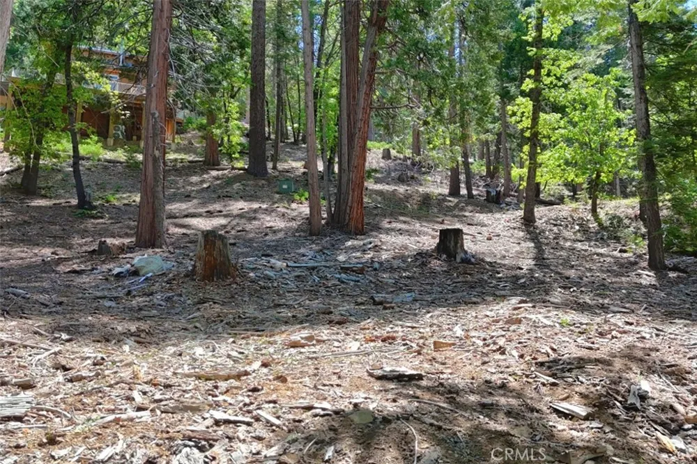 7220 Yosemite Park Way Yosemite, CA 95389