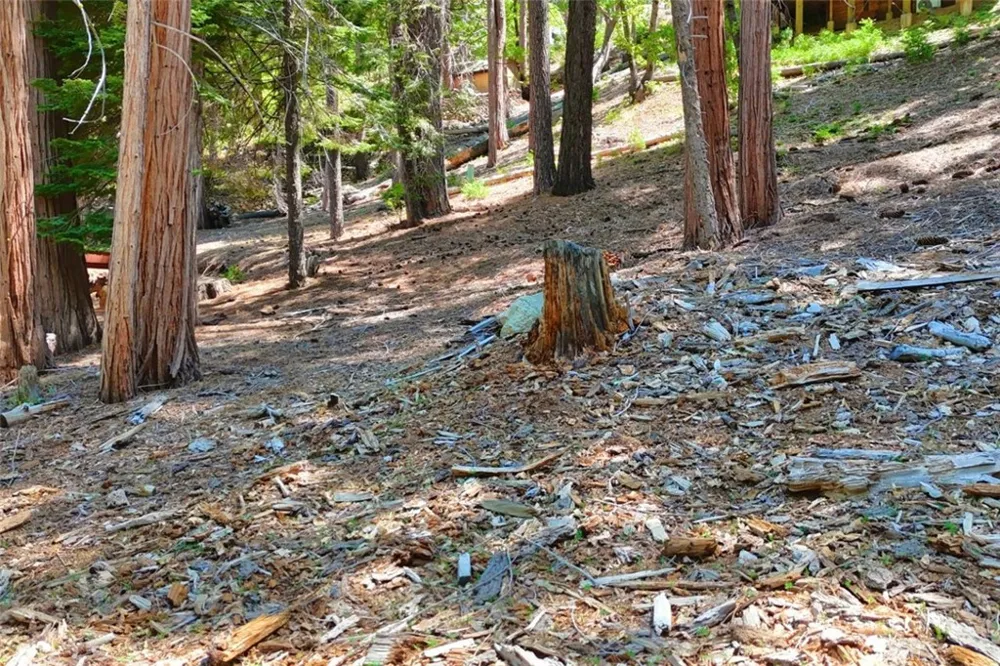 7220 Yosemite Park Way Yosemite, CA 95389