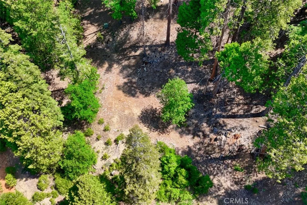 7220 Yosemite Park Way Yosemite, CA 95389