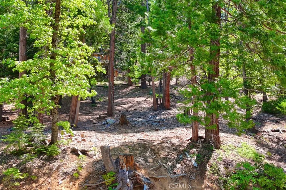 7220 Yosemite Park Way Yosemite, CA 95389