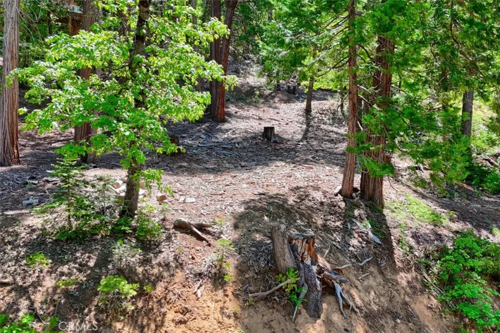 7220 Yosemite Park Way Yosemite, CA 95389