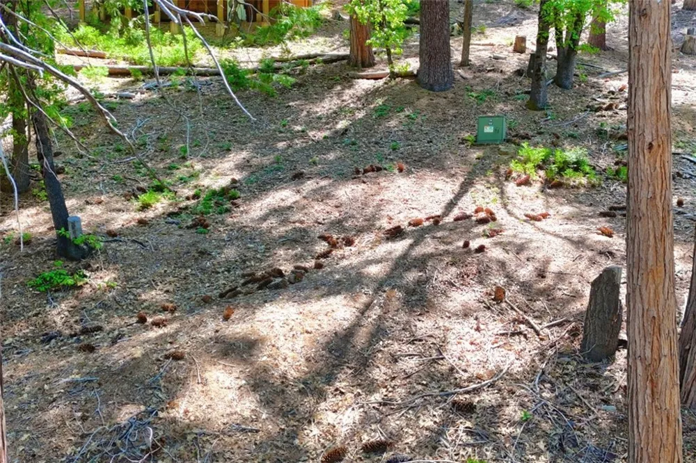 7220 Yosemite Park Way Yosemite, CA 95389