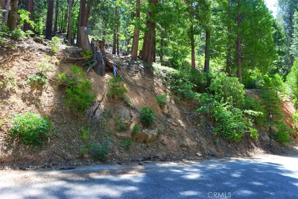 7220 Yosemite Park Way Yosemite, CA 95389