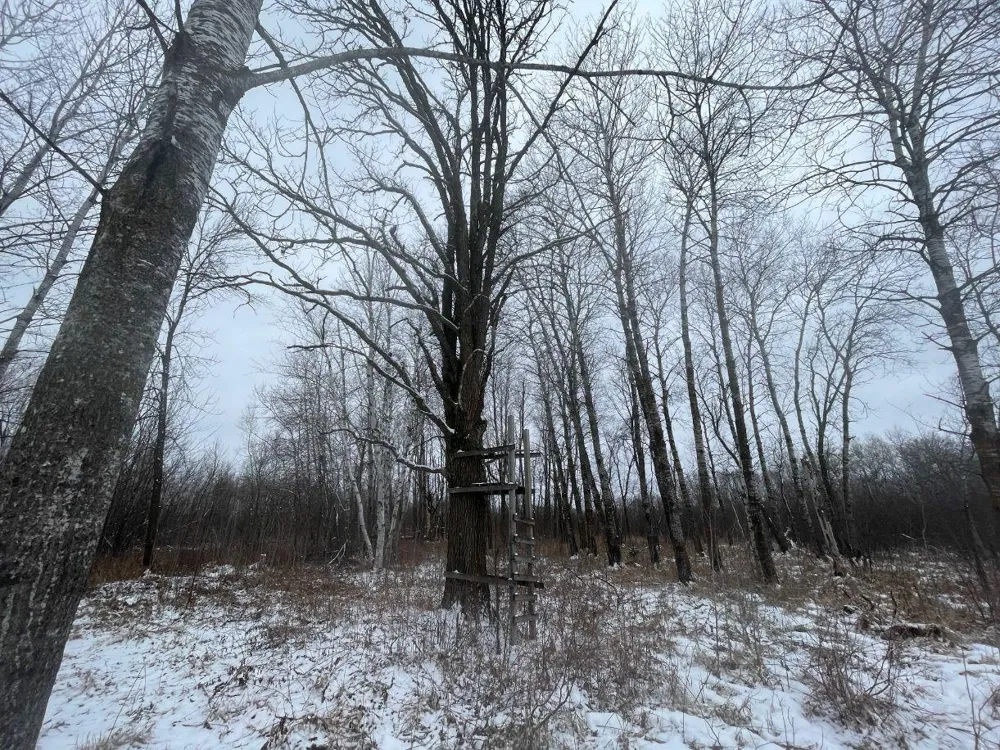 27XX 320th Avenue Brook Park, MN 55007