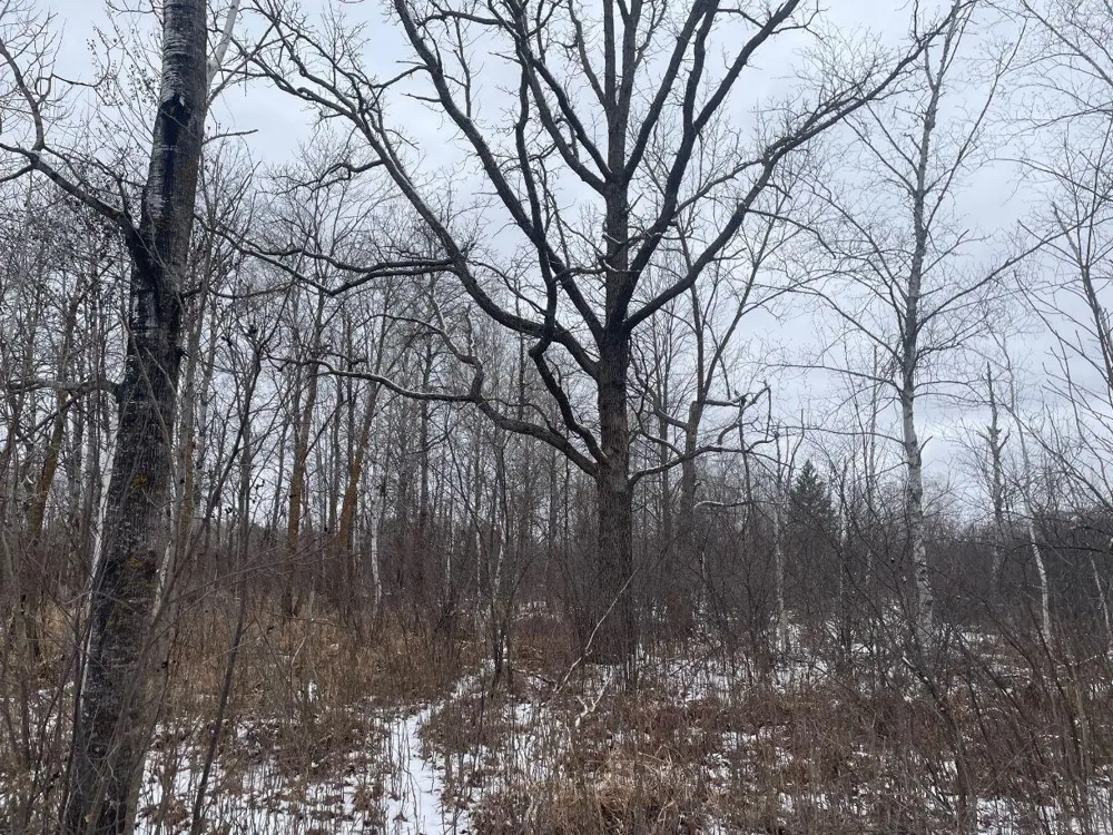 27XX 320th Avenue Brook Park, MN 55007
