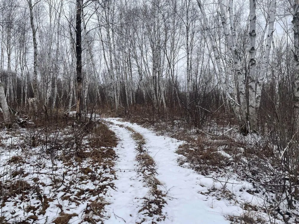 27XX 320th Avenue Brook Park, MN 55007