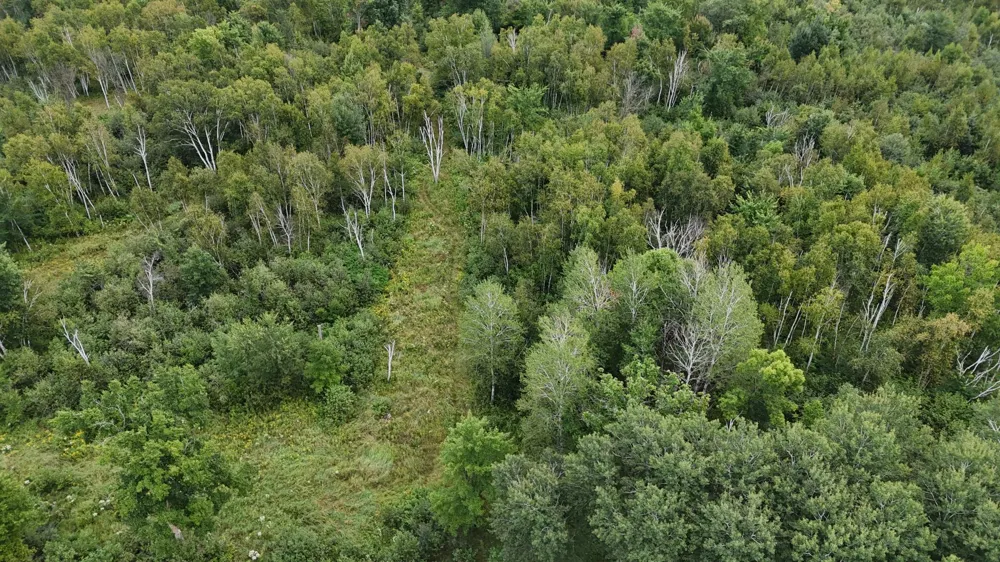 27XX 320th Avenue Brook Park, MN 55007