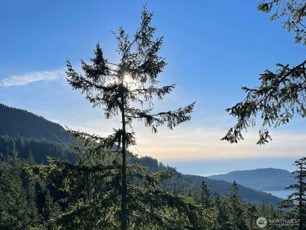1656 Eagle Ridge Road Orcas Island, WA 98245