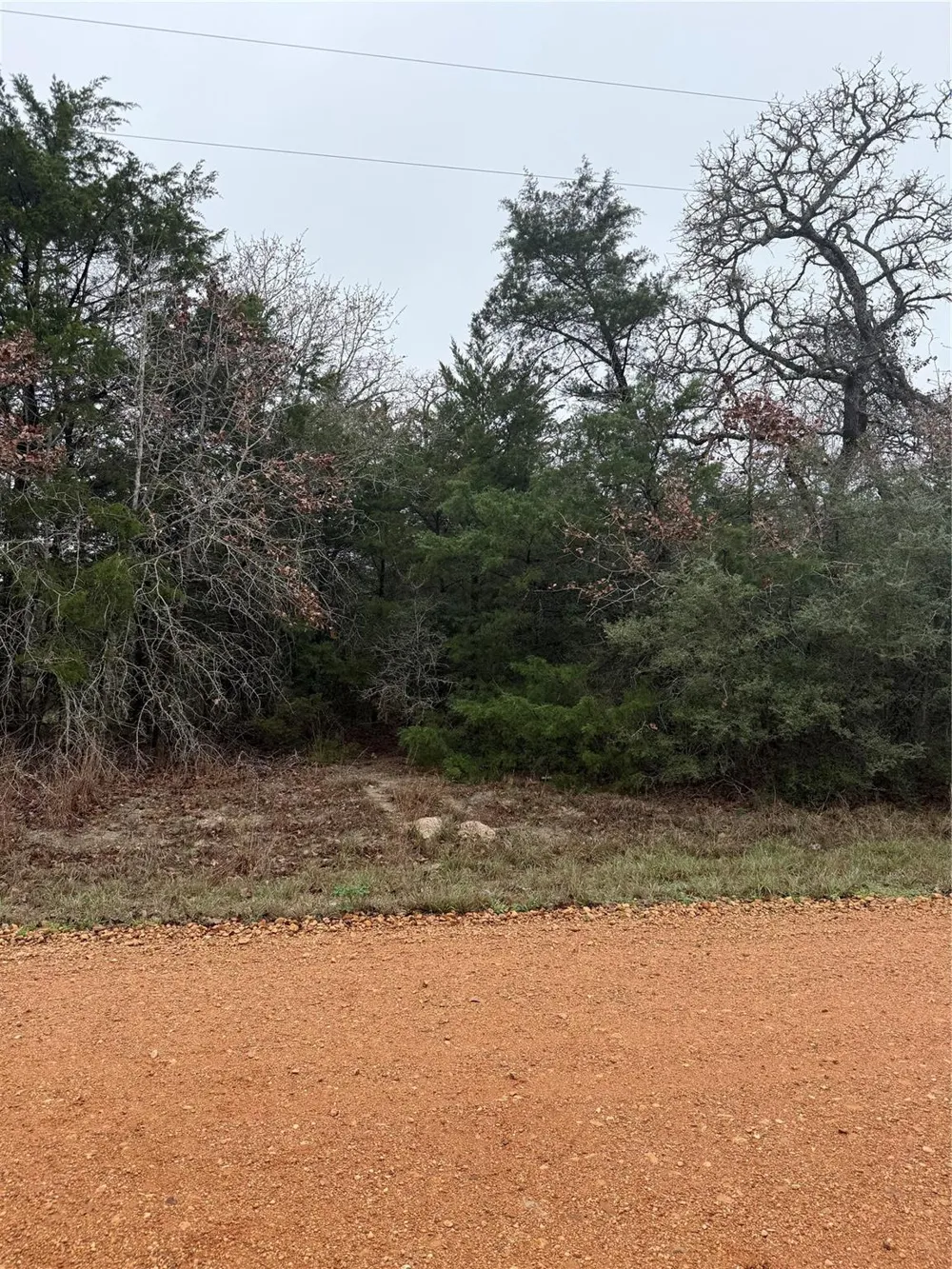 Coyote Run Lane Carmine, TX 78932