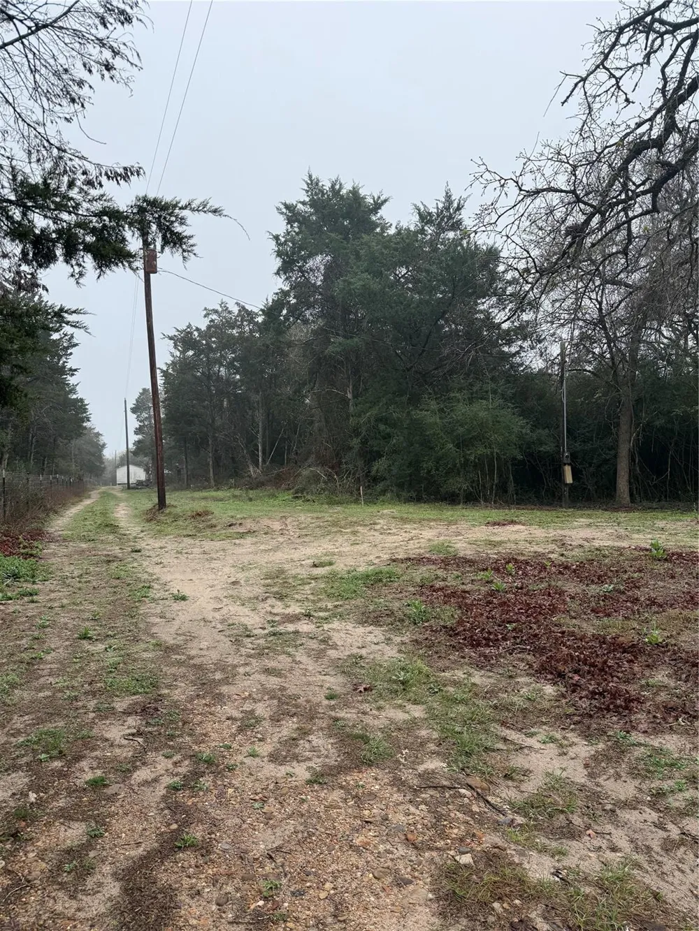 Coyote Run Lane Carmine, TX 78932