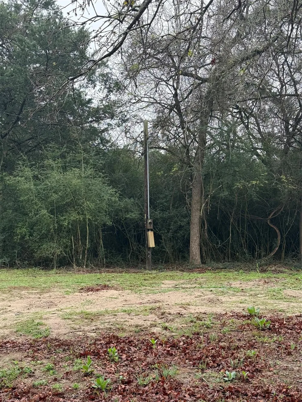Coyote Run Lane Carmine, TX 78932