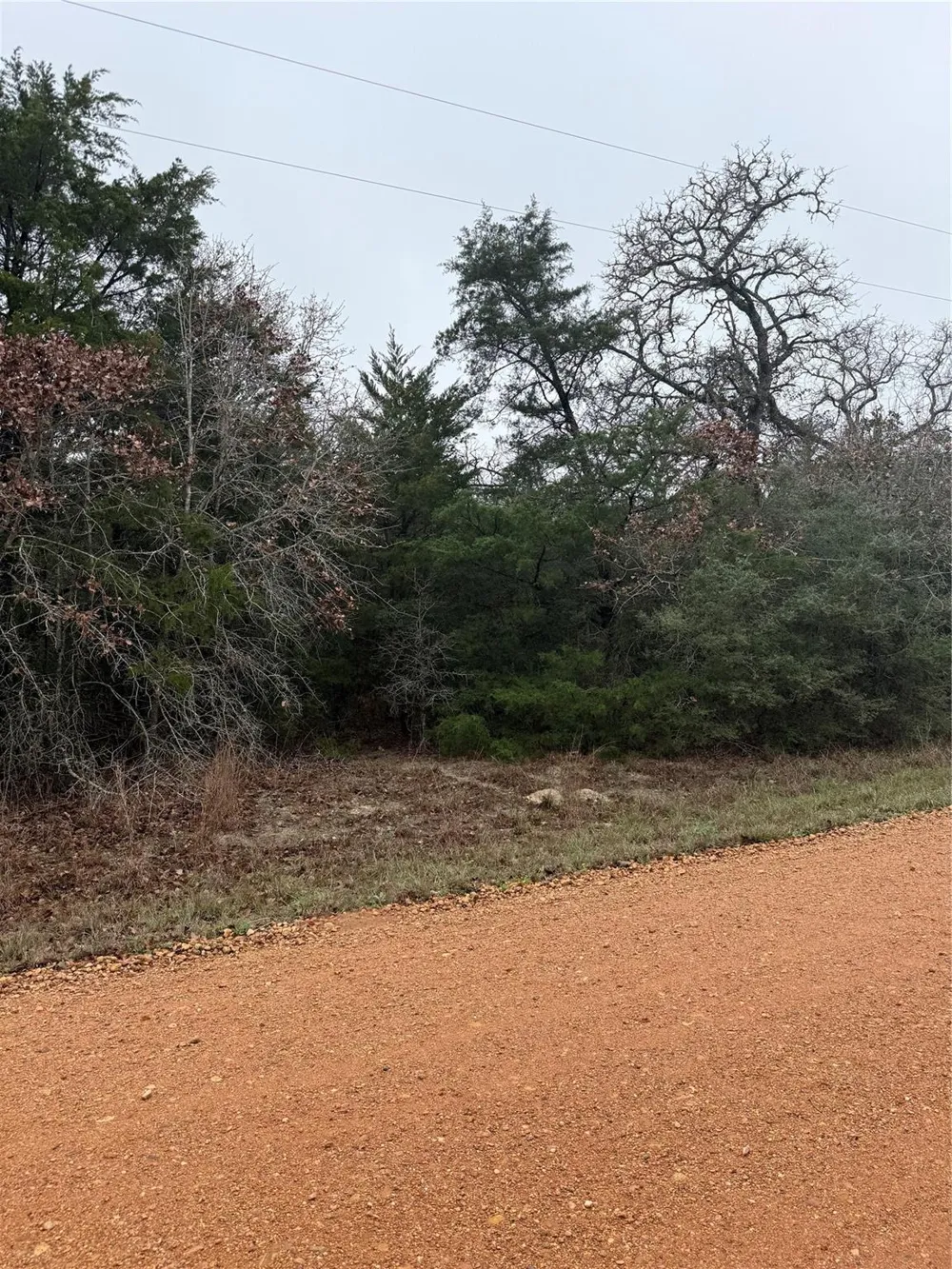 Coyote Run Lane Carmine, TX 78932