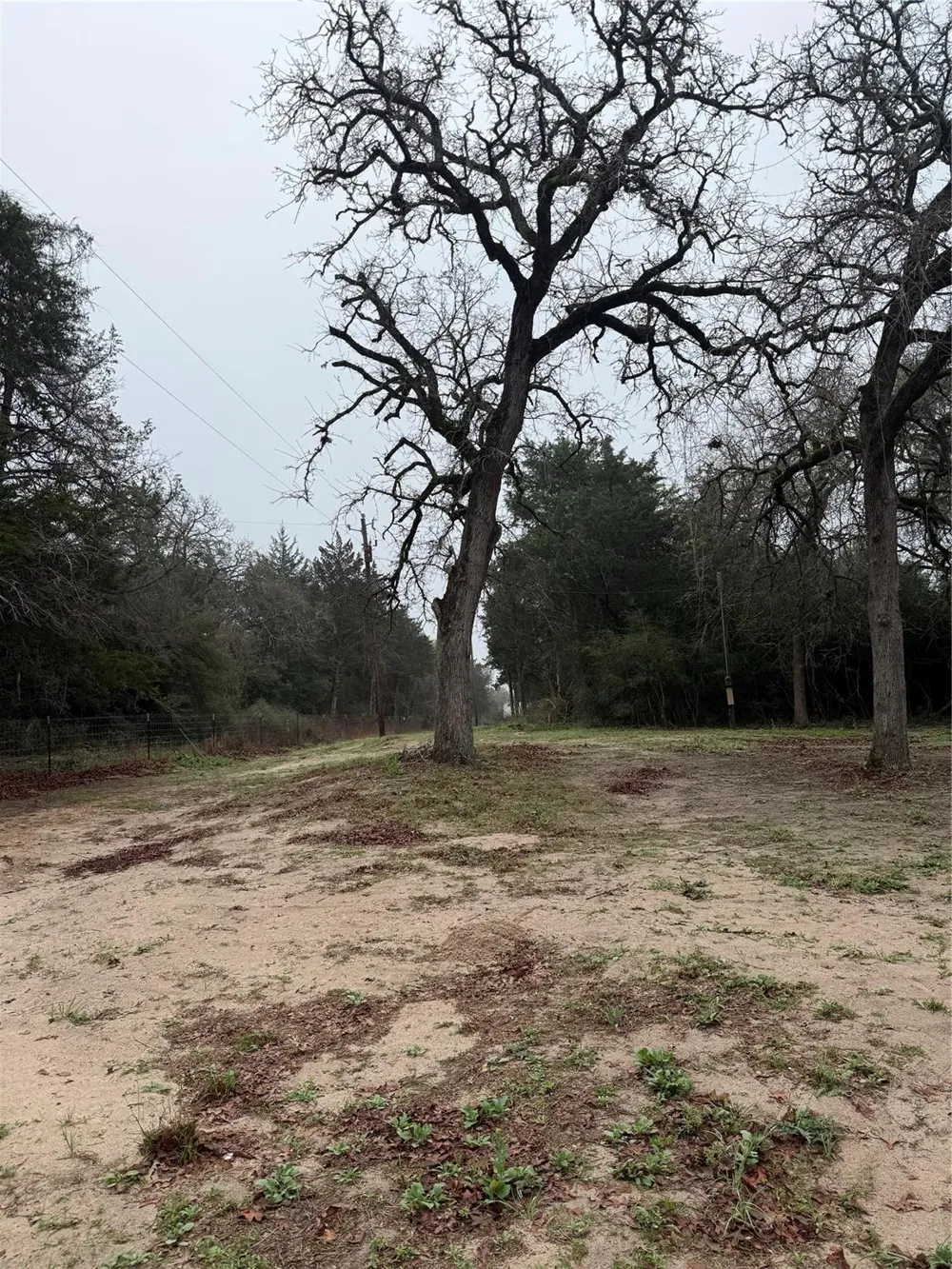 Coyote Run Lane Carmine, TX 78932