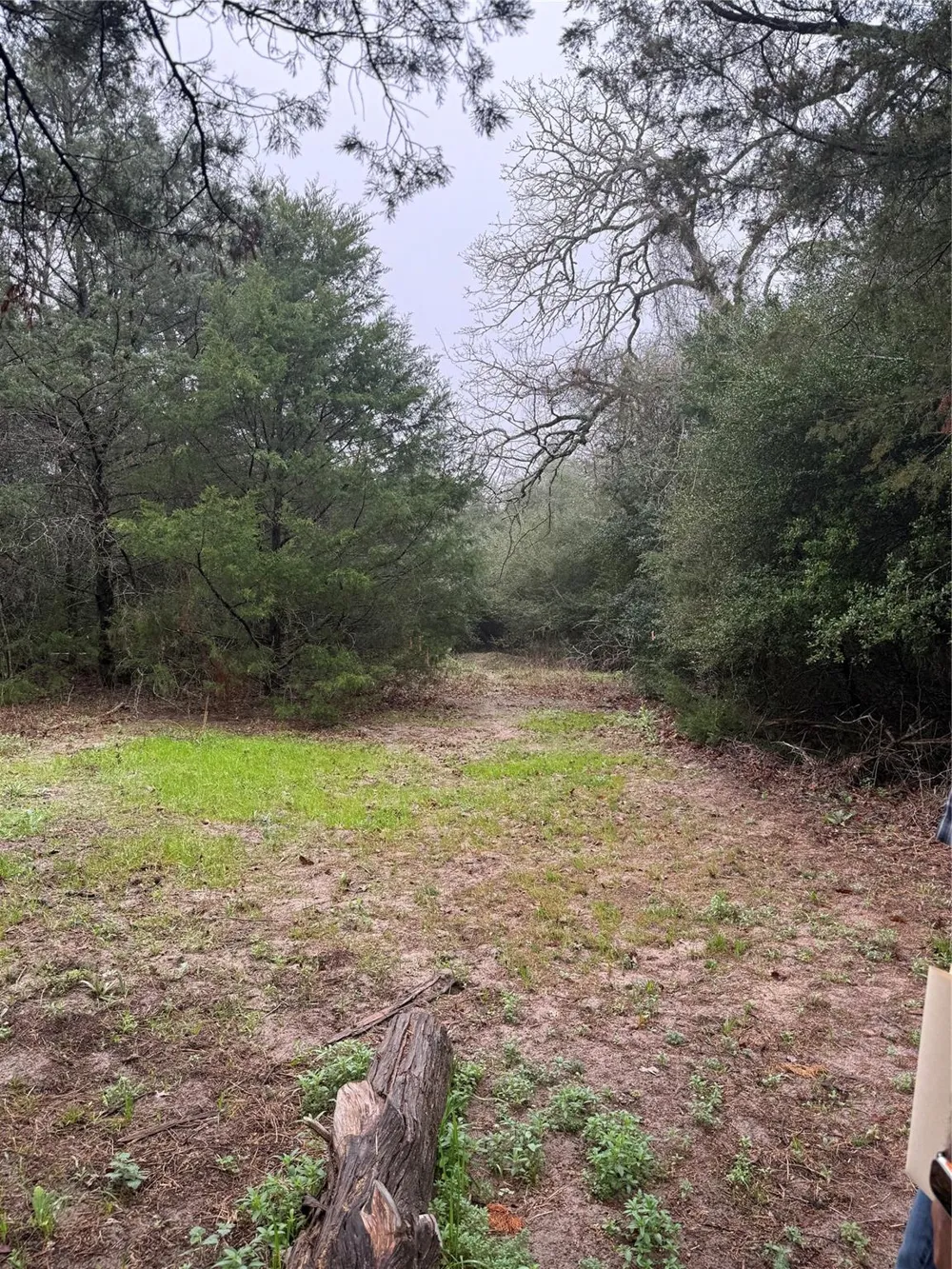 Coyote Run Lane Carmine, TX 78932