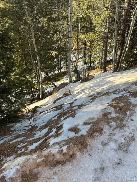 1600 Pikes Peak Drive