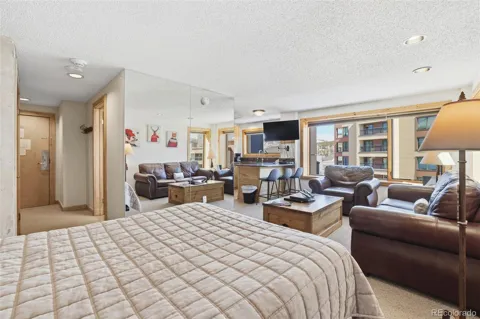 535 S Park Avenue #505