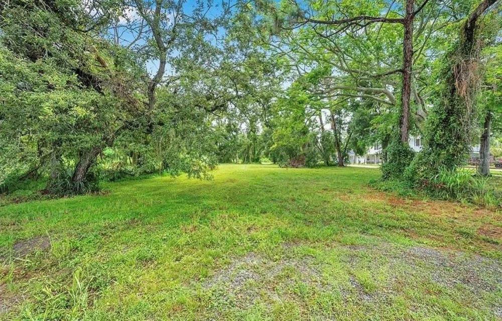 1ST AVENUE Safety Harbor, FL 34695
