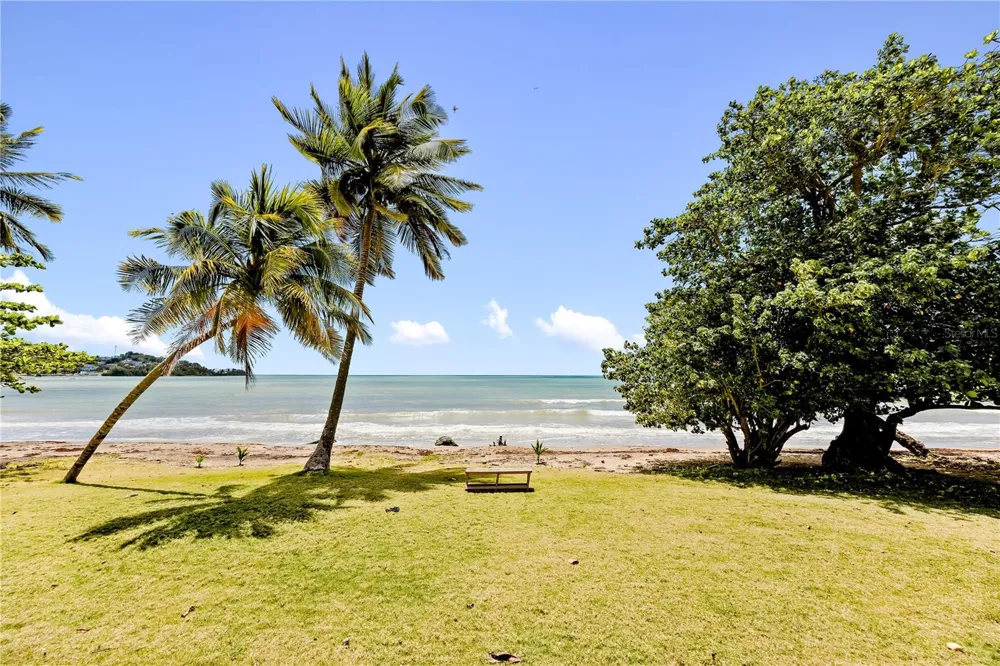 Cala de Hucares CARR 3 KM 66.7 #B-208 Naguabo, PR 00718