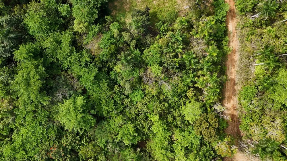 413 INT Rincon, PR 00677