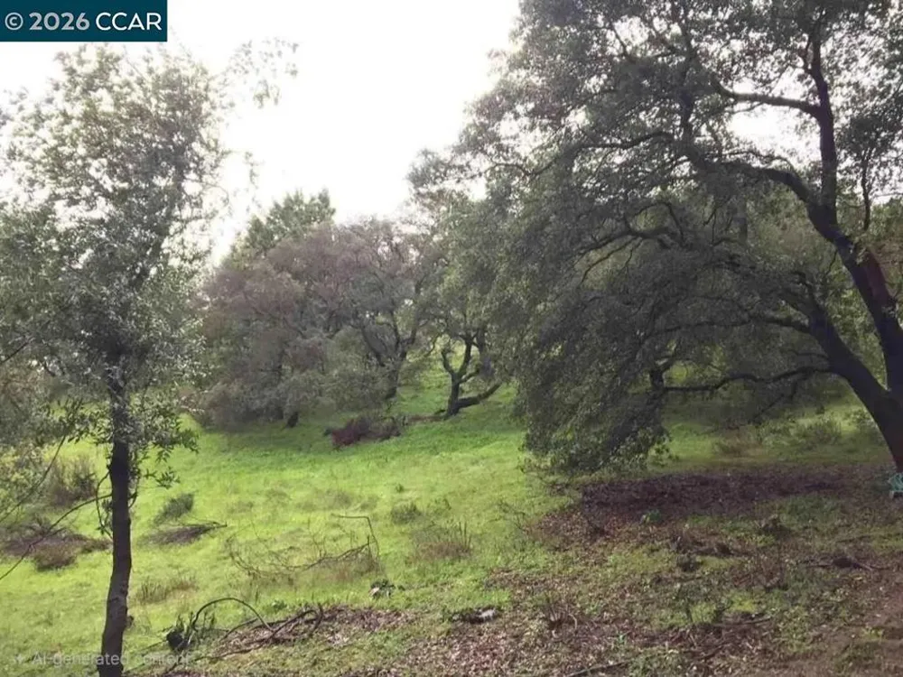 16 Brandywine Way Martinez, CA 94553