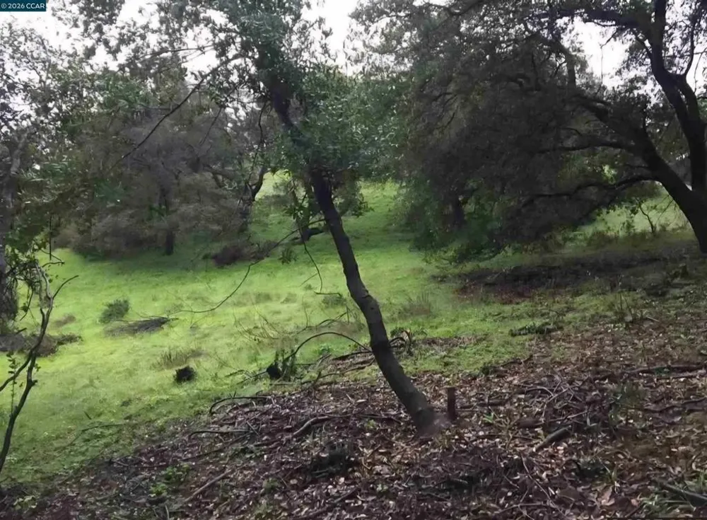 16 Brandywine Way Martinez, CA 94553
