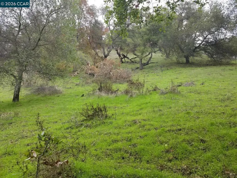 16 Brandywine Way Martinez, CA 94553