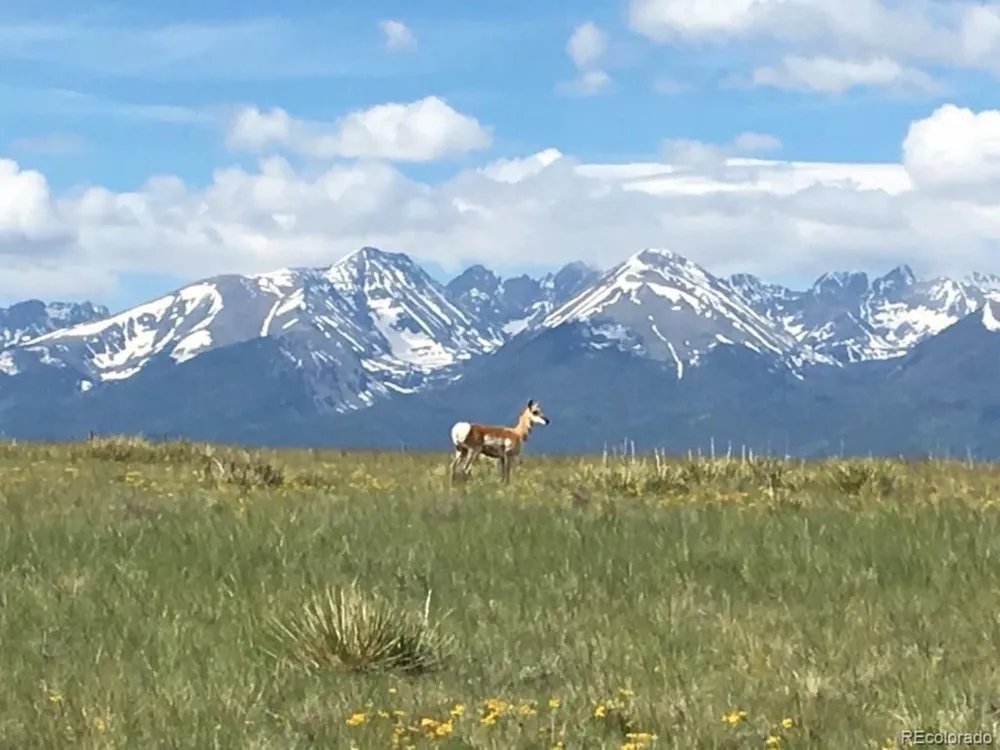 525 Brush Hollow Road Westcliffe, CO 81252