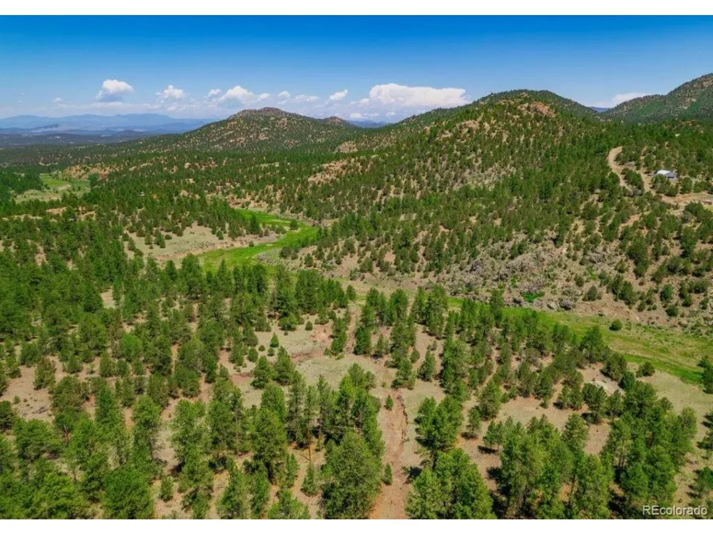 525 Brush Hollow Road Westcliffe, CO 81252