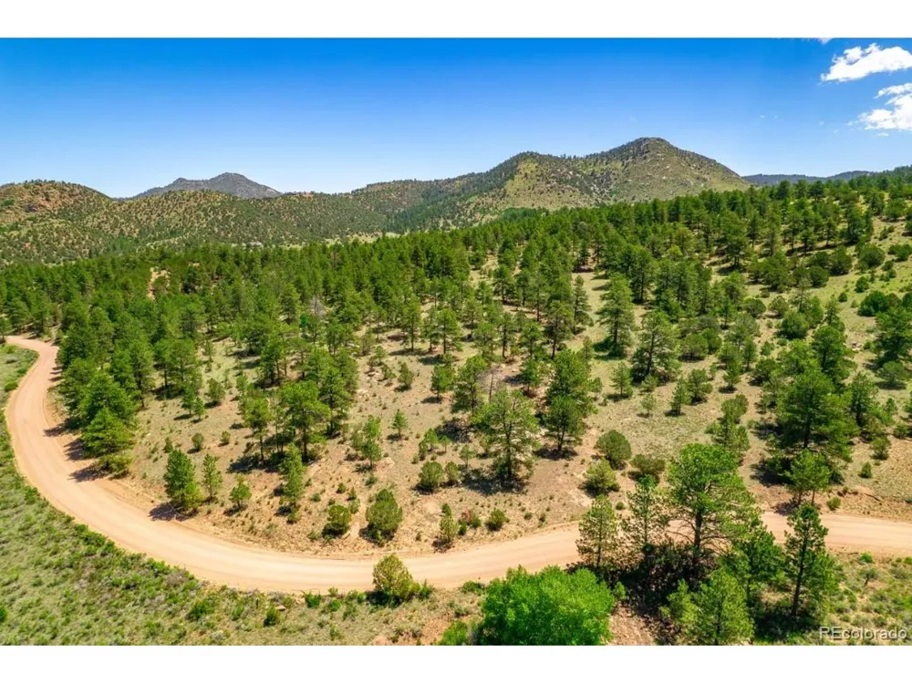 525 Brush Hollow Road Westcliffe, CO 81252