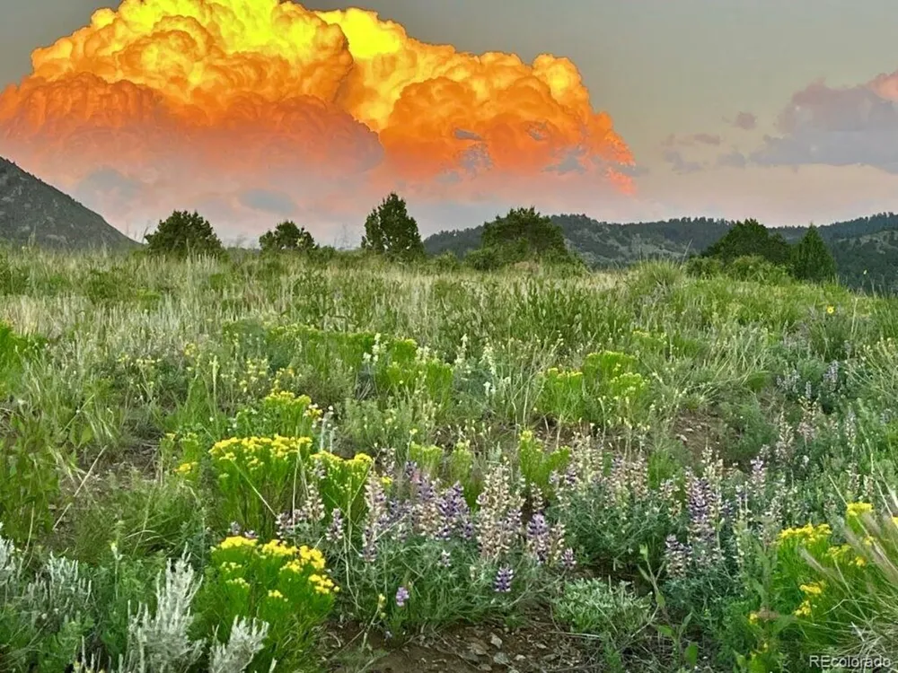525 Brush Hollow Road Westcliffe, CO 81252