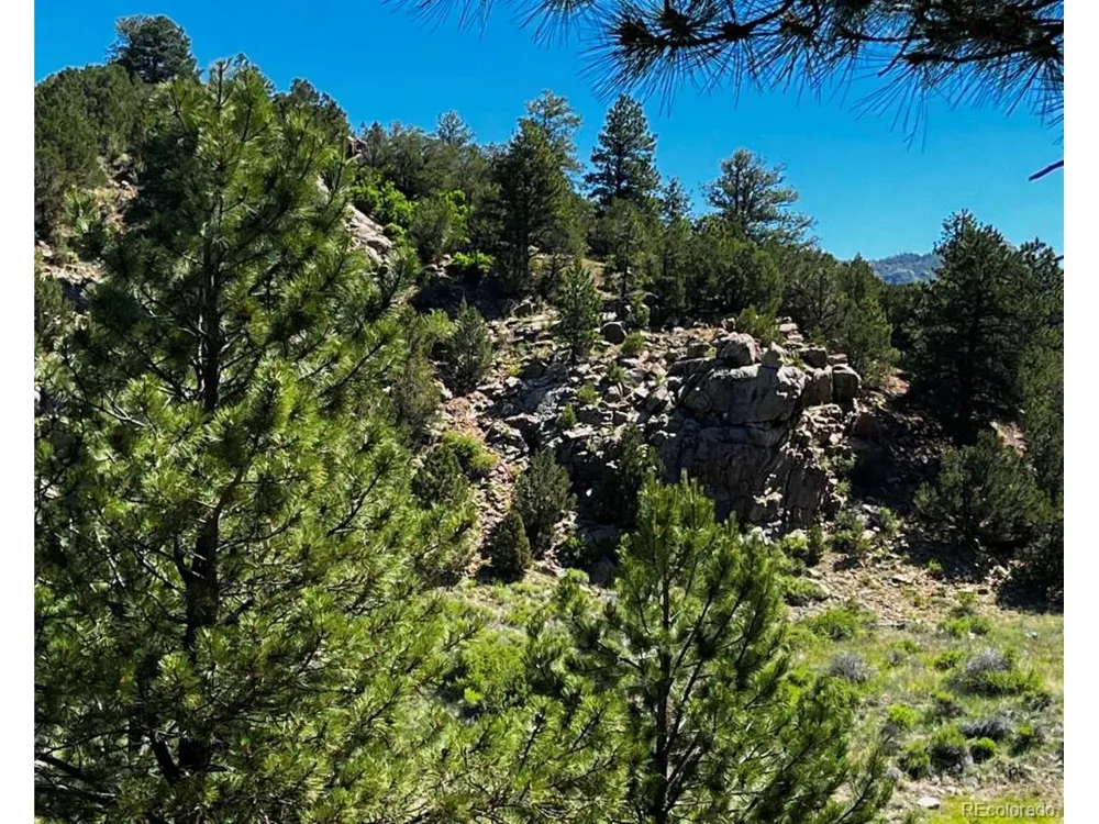 525 Brush Hollow Road Westcliffe, CO 81252
