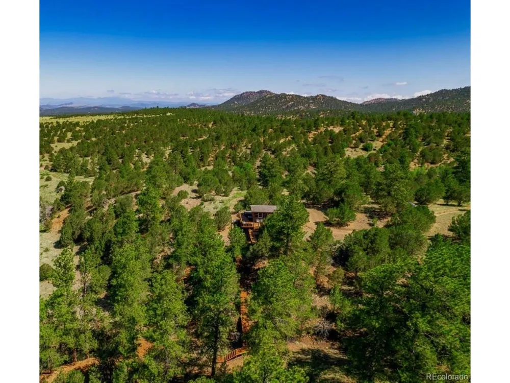 525 Brush Hollow Road Westcliffe, CO 81252