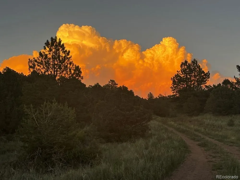 525 Brush Hollow Road Westcliffe, CO 81252