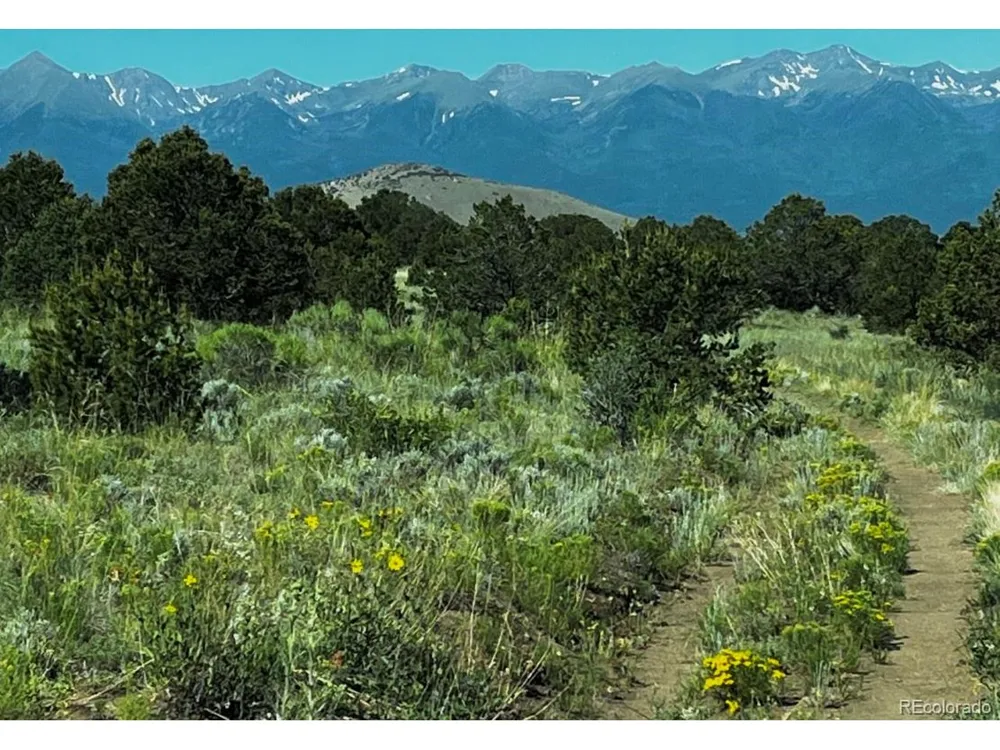 525 Brush Hollow Road Westcliffe, CO 81252