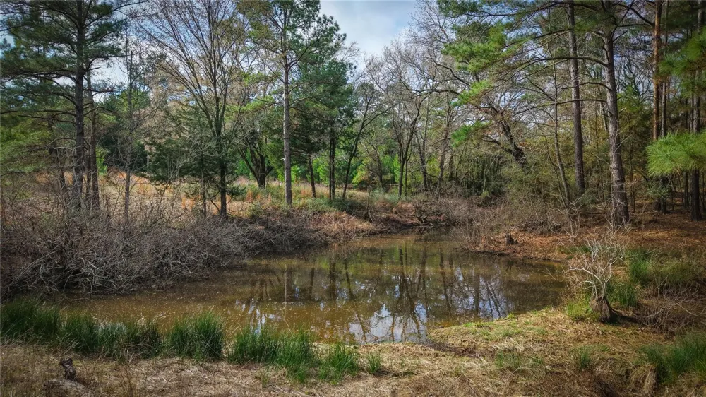 39 County Road 122 Centerville, TX 75833