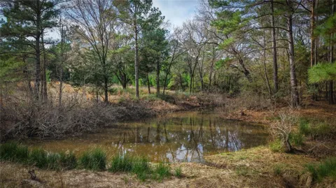 39 County Road 122