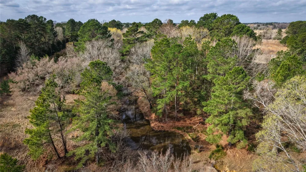 39 County Road 122 Centerville, TX 75833
