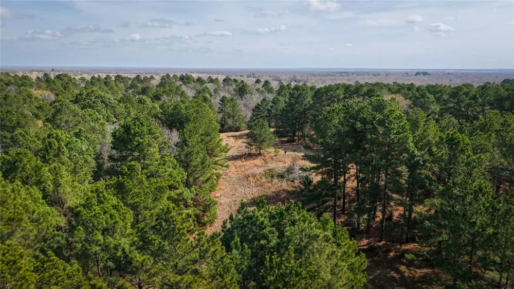 39 County Road 122 Centerville, TX 75833