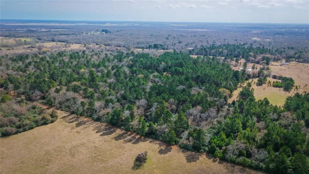 39 County Road 122 Centerville, TX 75833