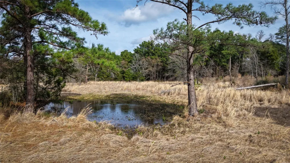 39 County Road 122 Centerville, TX 75833