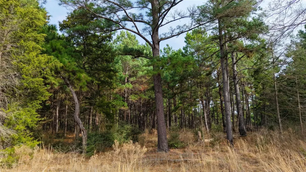 39 County Road 122 Centerville, TX 75833